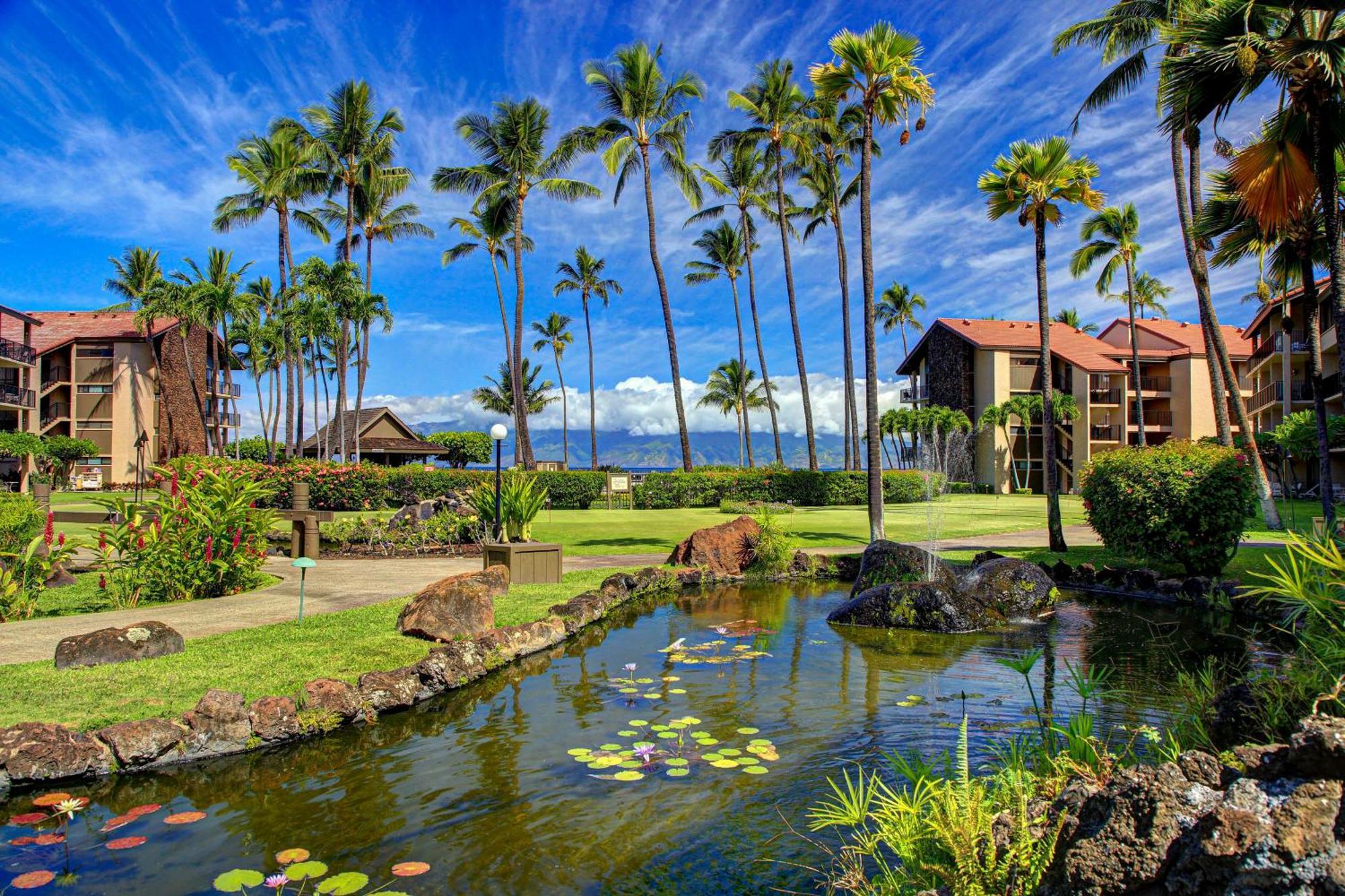 Napili-Honokowai Papakea Resort חדר תמונה